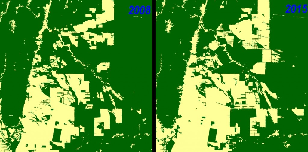Comparación 2008-2015 de Mapas de deforestación FNF