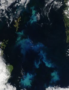 Imagen Aqua MODIS