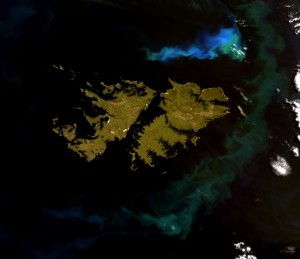 Floración de fitoplancton vista por el sensor MODIS a bordo del satélite Terra en 2008