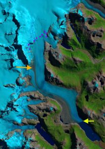 Glaciar Nef 2016. La flecha amarilla muestra el frente. La flecha naranja el origen de la cubierta de escombros. El punteado violeta corresponde a la línea de nieve a 1350 metros.