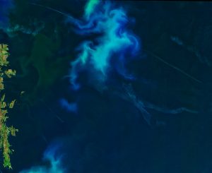 Imagen Landsat-8  OLI del 12 de junio de 2016