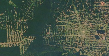 Deforestación en Amazonas