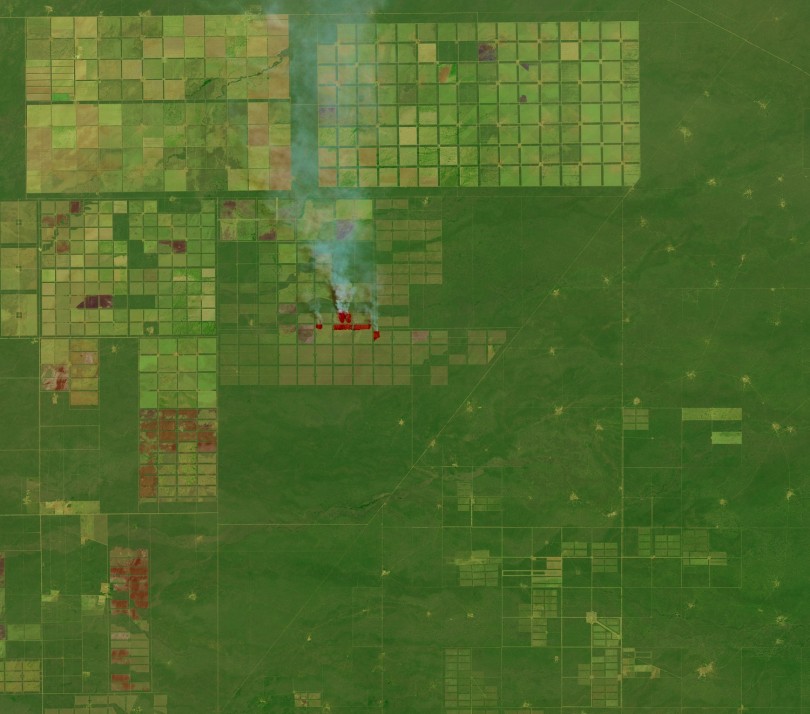 Imagen Landsat OLI - Usos del Suelo